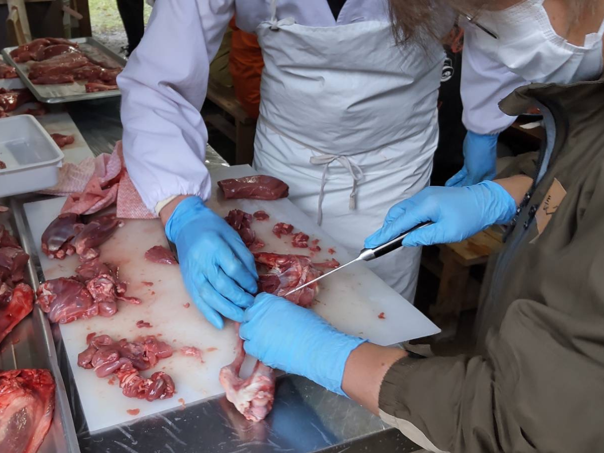 猪鹿工房山恵　鹿の解体イベント