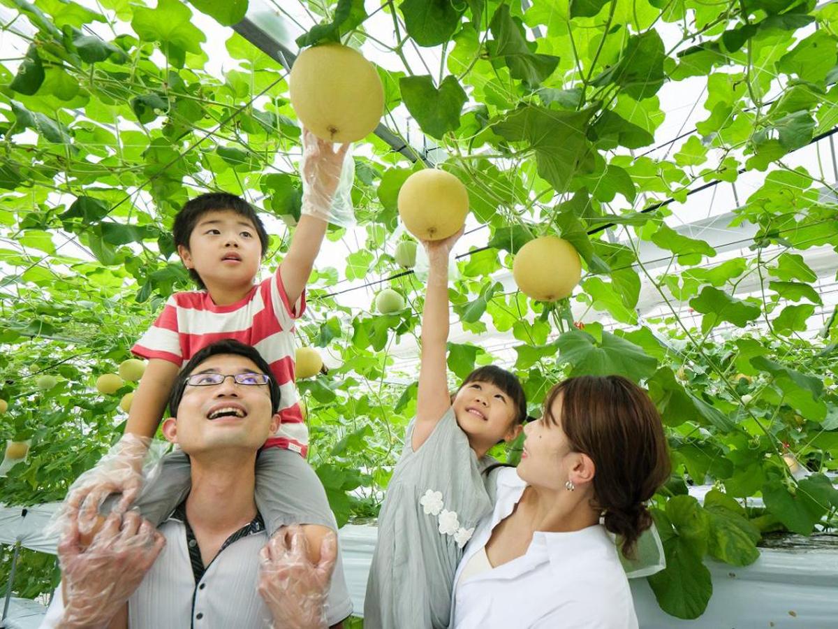 ころころ可愛い♪ころたんメロン狩り