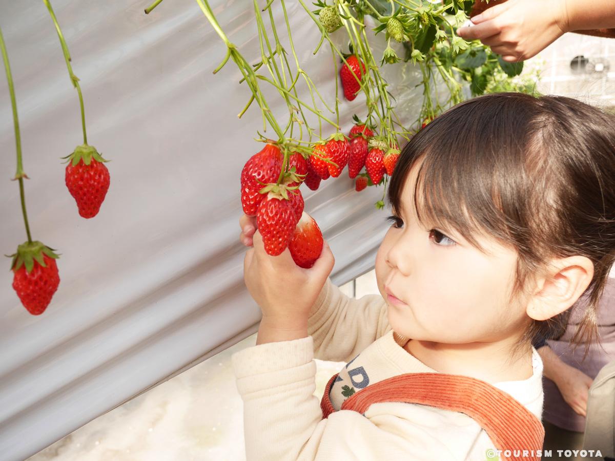 うめこう桃梨苺園