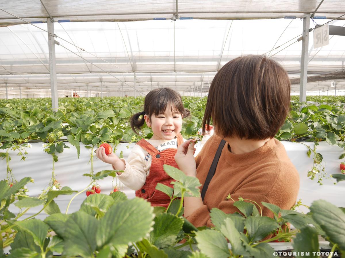 うめこう桃梨苺園