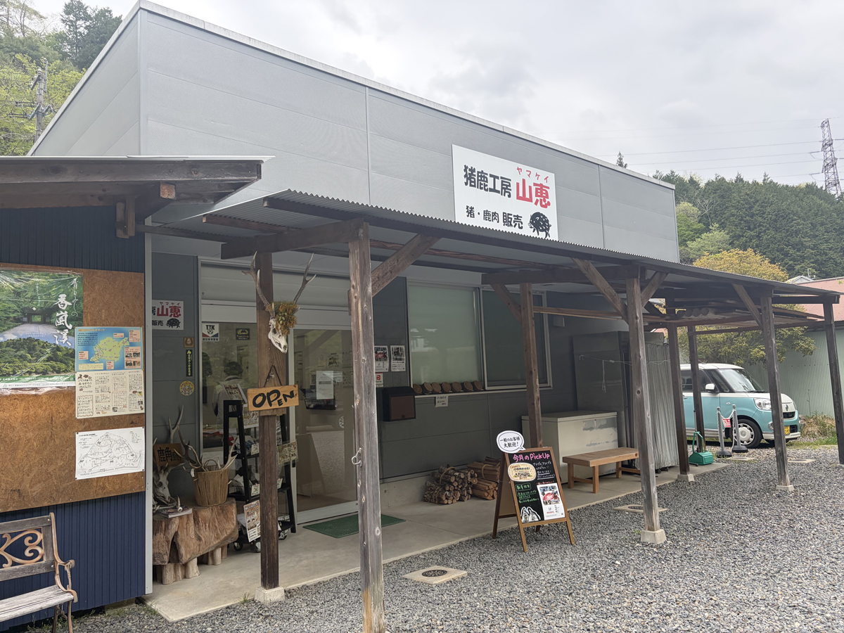 猪鹿工房山恵 鹿の解体イベント