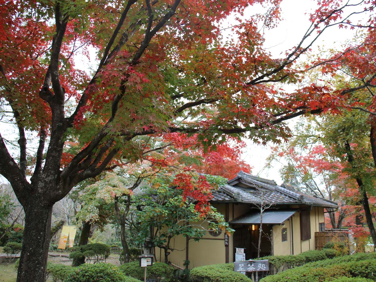 勘八峡紅葉ウオーキング