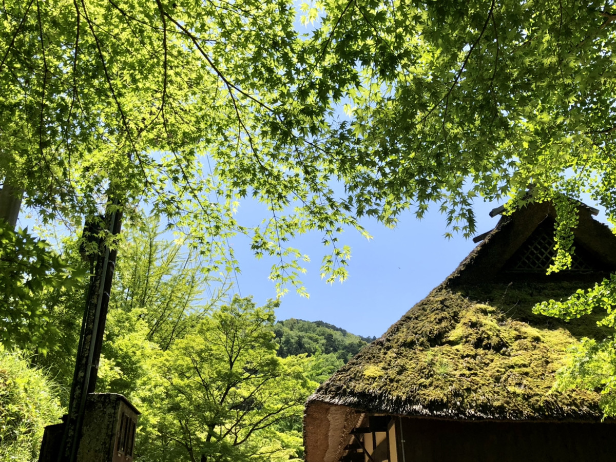 香嵐渓