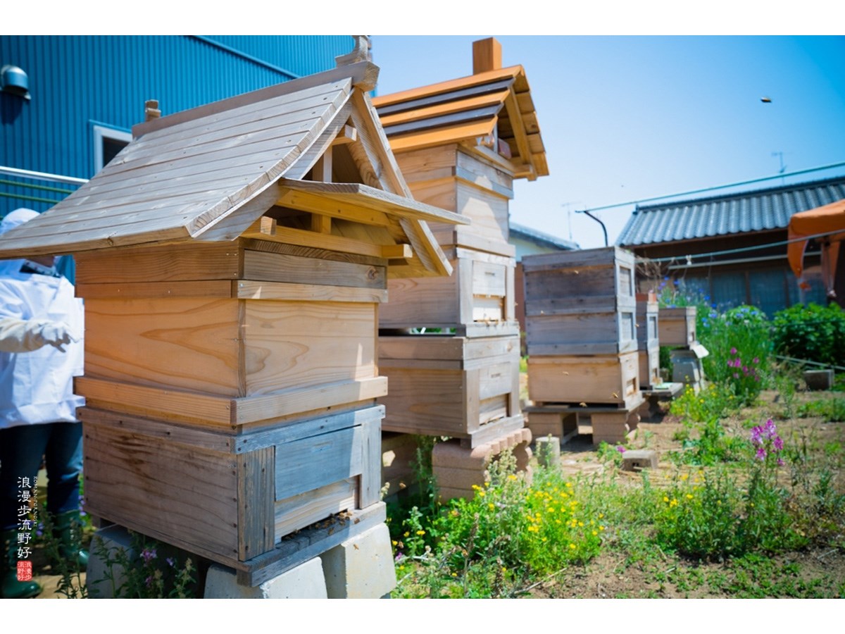 株式会社Koikeya create