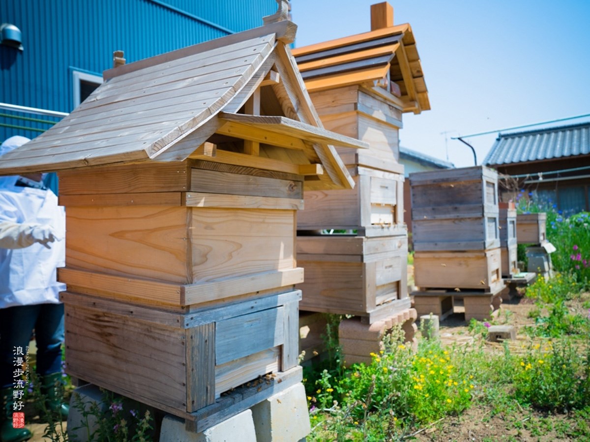 株式会社こいけやクリエイト