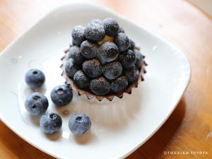 マコのお店（ブルーベリーのこみち）