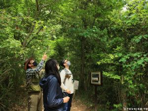 豊田市自然観察の森