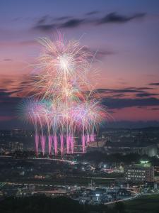 豊田おいでんまつり花火大会