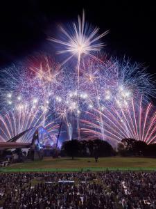 豊田おいでんまつり花火大会
