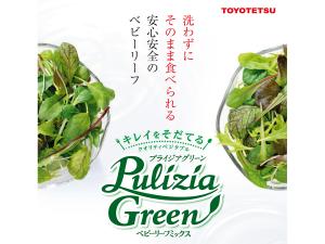 Pulizia Green ベビーリーフミックス（豊田鉃工株式会社）