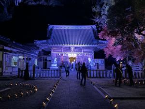 松平郷天下泰平の竹あかり