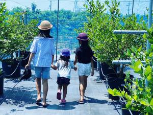 フフラ ベリーガーデン