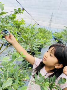 フフラ ベリーガーデン