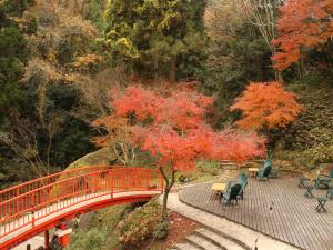 Macro Village（マクロヴィレッジ）