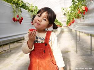 うめこう桃梨苺園