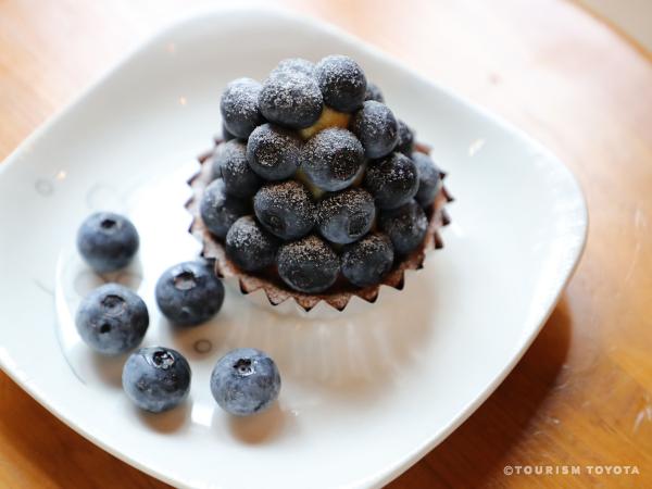 マコのお店（ブルーベリーのこみち）