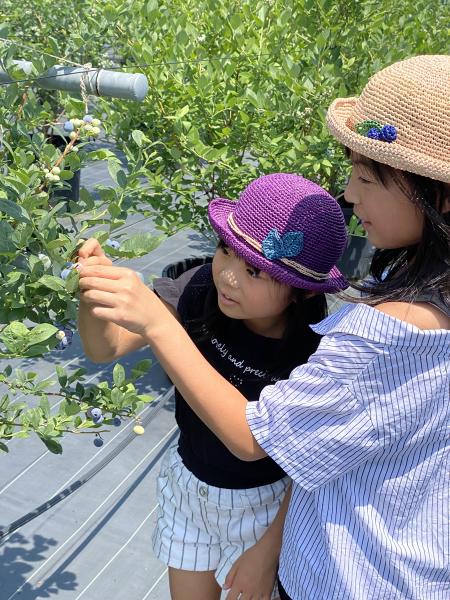 フフラ ベリーガーデン