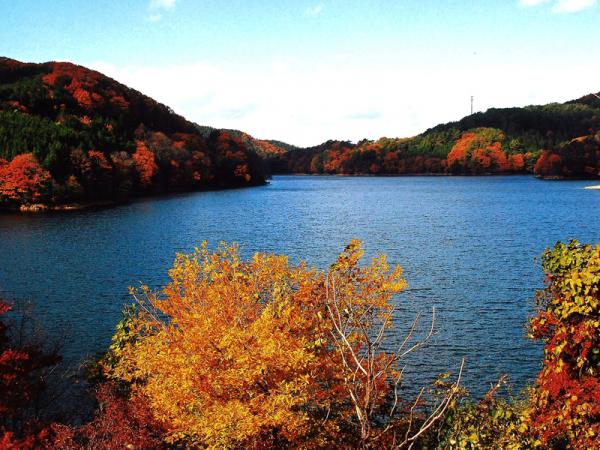 三河湖紅葉ウォーキング