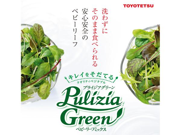 Pulizia Green ベビーリーフミックス（豊田鉃工株式会社）