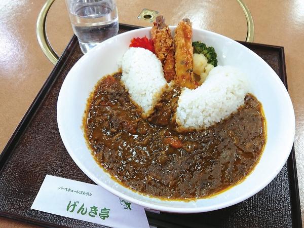 矢作ダムカレー