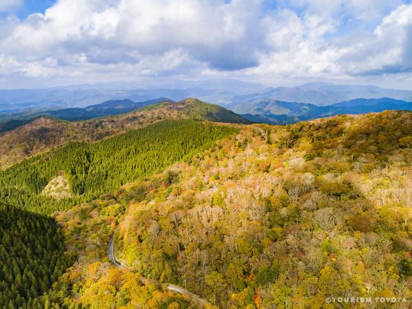 面ノ木園地林の紅葉