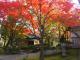 勘八峡紅葉ウオーキング