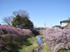 加茂川公園