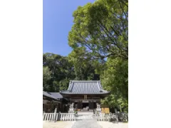 松平郷天下泰平の竹あかり 竹灯籠制作体験会