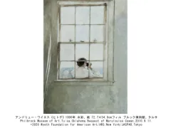 豊田市美術館