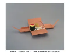 豊田市美術館