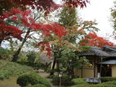 勘八峡紅葉ウオーキング