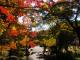 勘八峡紅葉ウオーキング\r\n勘八峡紅葉ウオーキング\r\n勘八峡紅葉ウオーキング\r\n勘八峡紅葉ウオーキング\r\n勘八峡紅葉ウオーキング