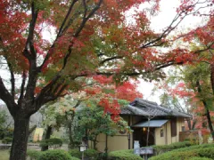 勘八峡紅葉ウオーキング