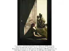 豊田市美術館