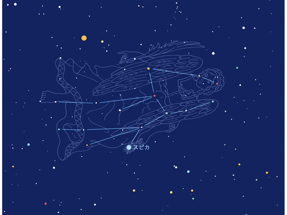 ★青白い1等星スピカが目印のおとめ座