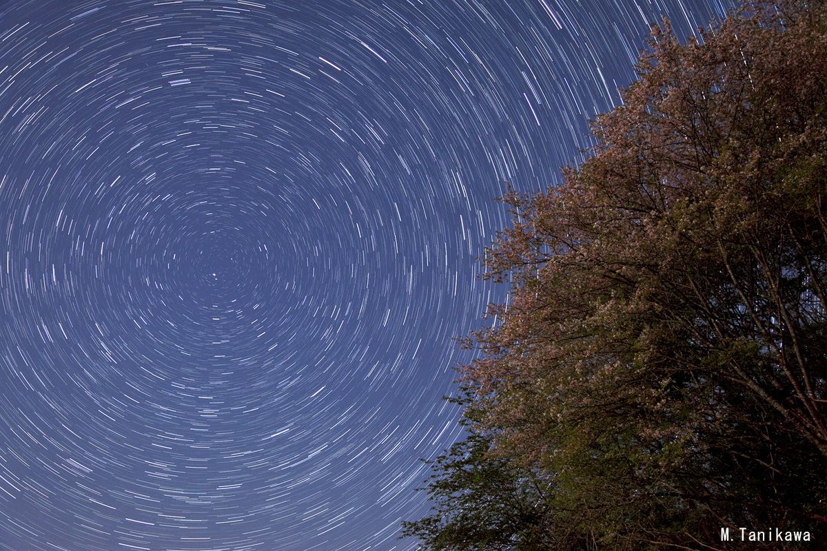 露光時間によって変わる星の光跡