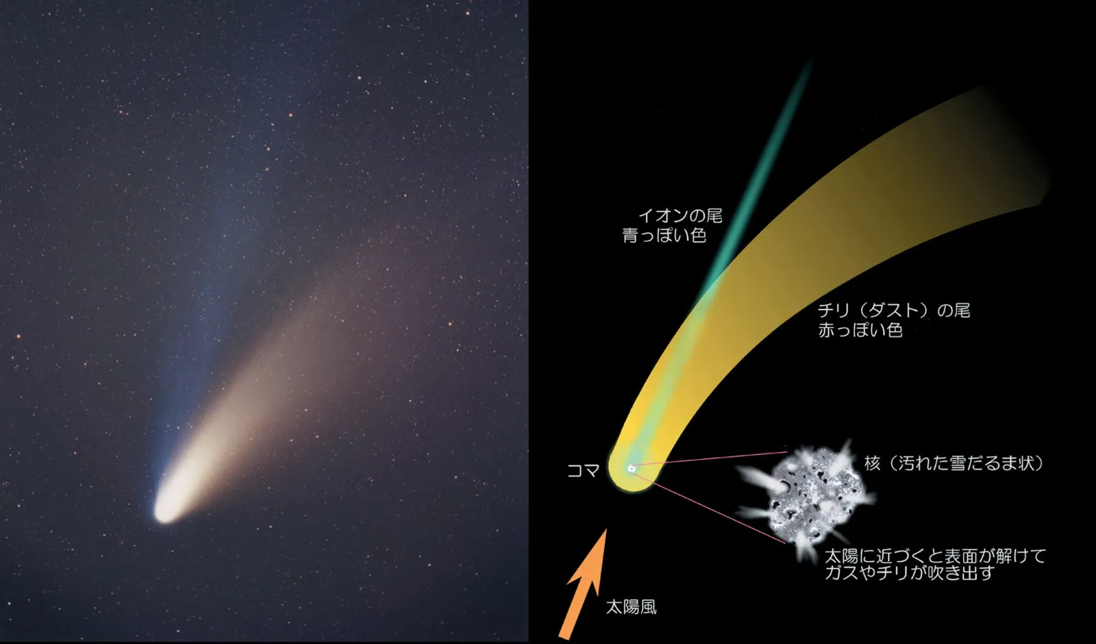 彗星が流星の素をまき散らす