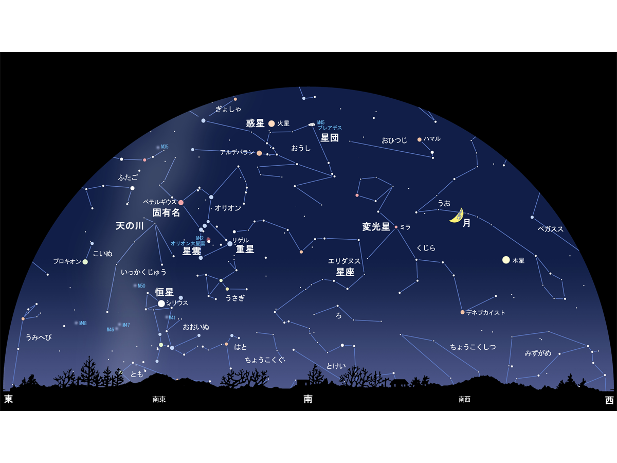 【コラム】夜空に見えるもの