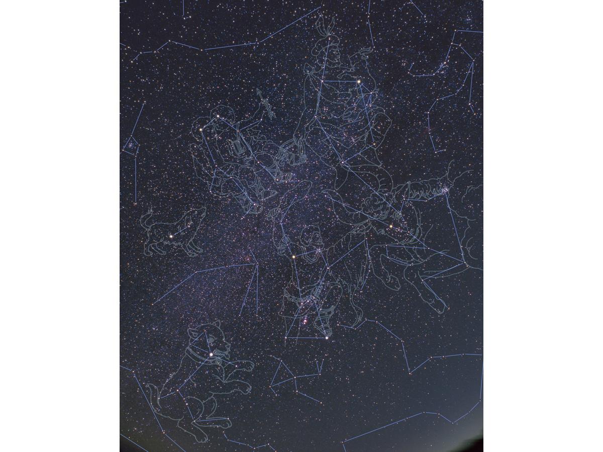 【コラム】見上げてごらん夜空の星を