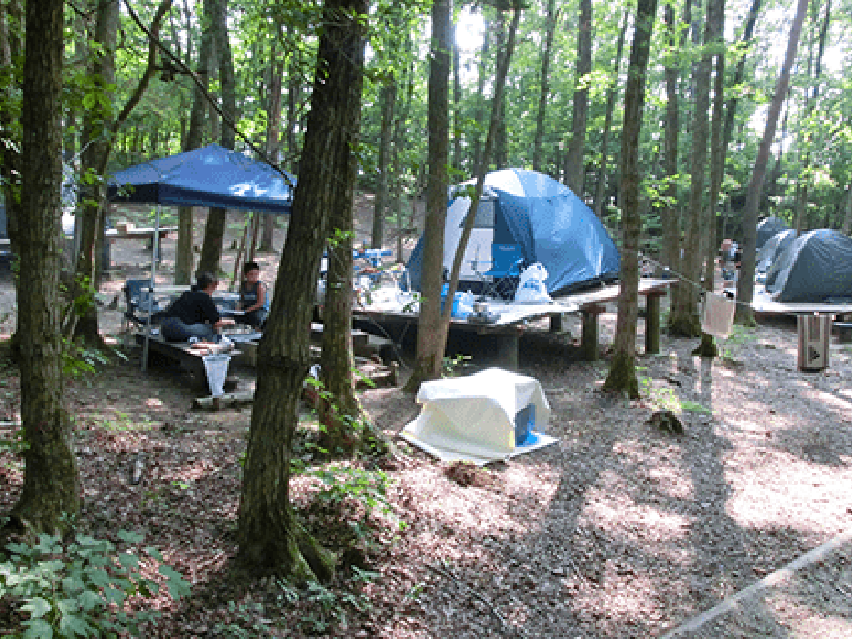 テントサイト