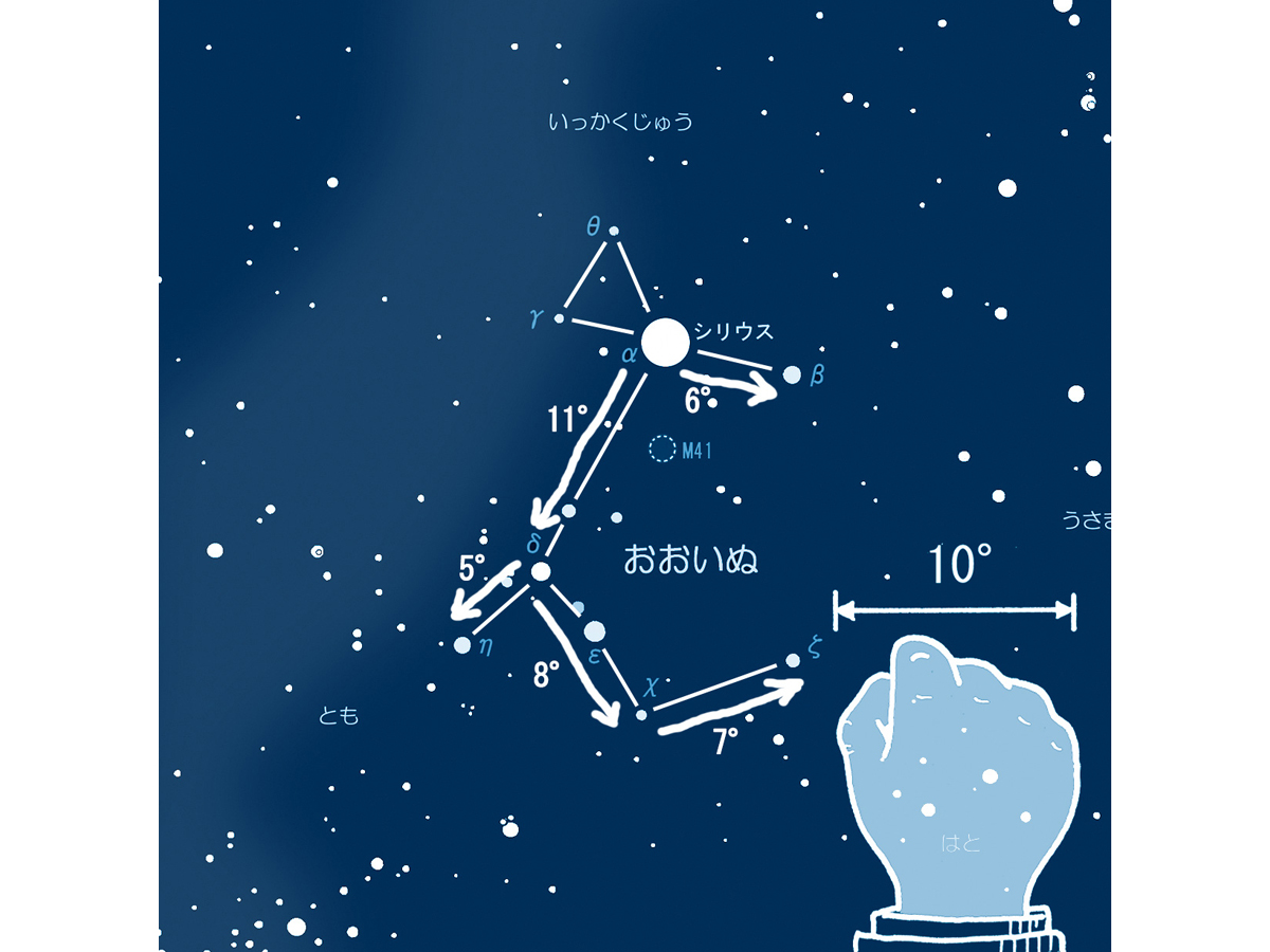 おおいぬものさし