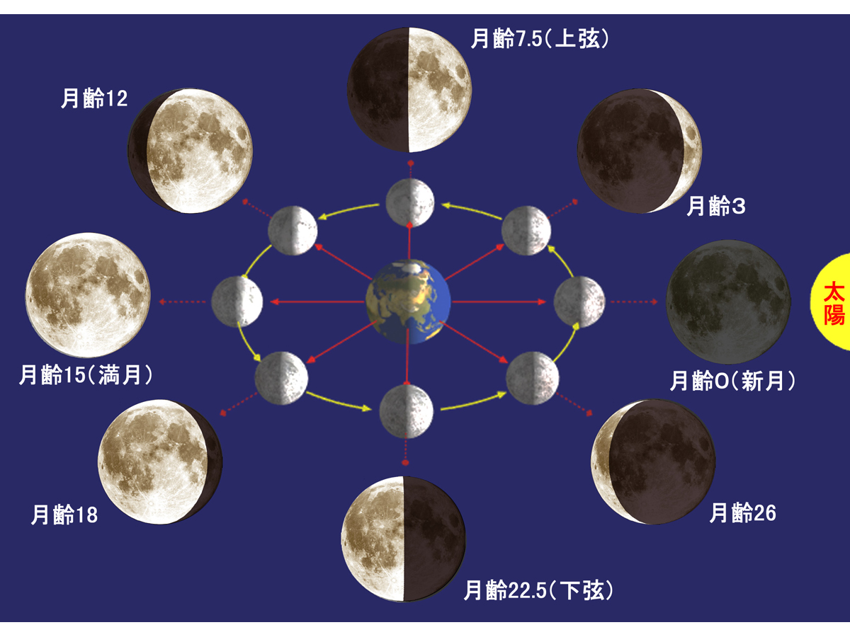 満ち欠けする月