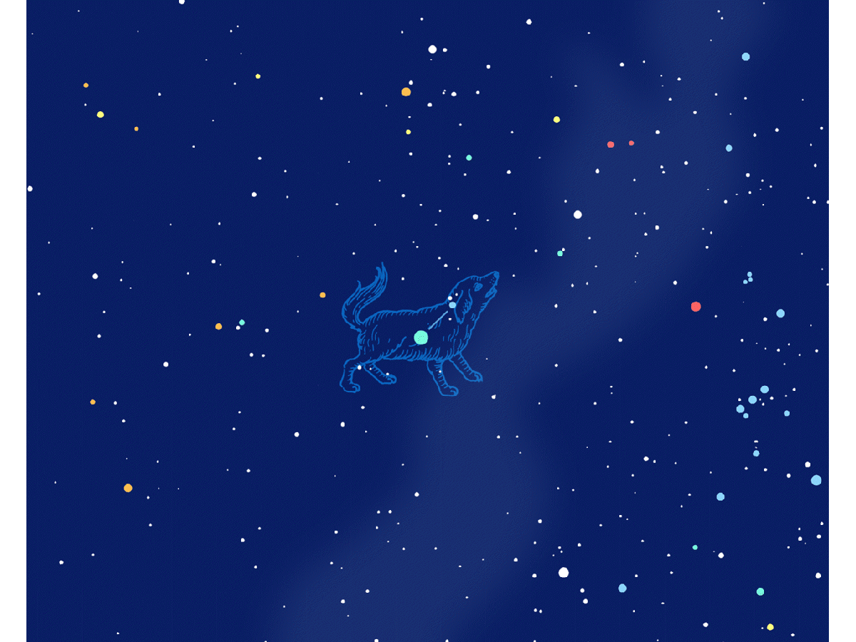 プロキオンが目印のこいぬ座