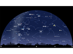 【コラム】夜空に見えるもの