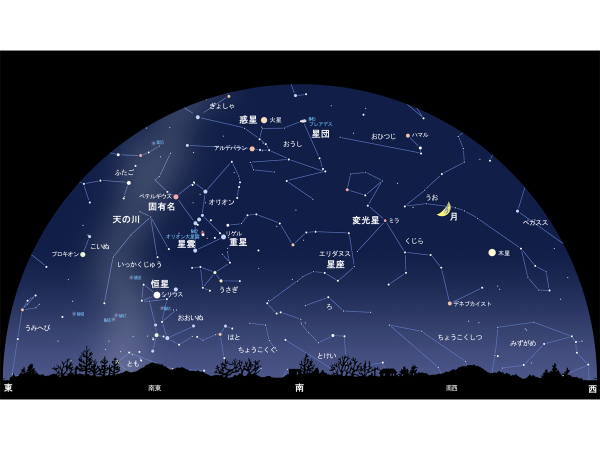 【コラム】夜空に見えるもの