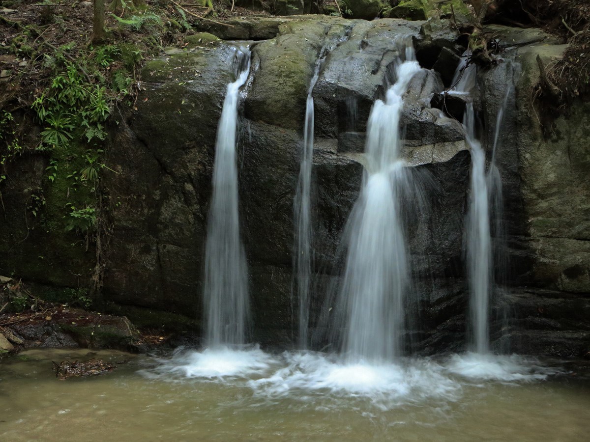季節の見どころスポット