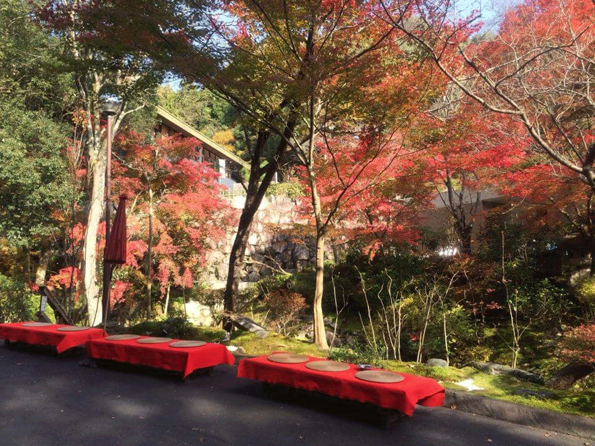 季節の見どころスポット