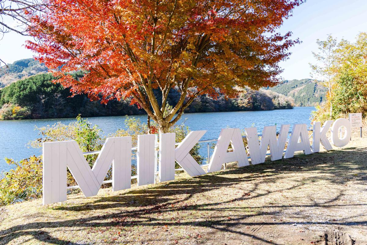 【ラリージャパン2026】 三河湖SS 観戦ガイド：王者が決まる「聖地」を巡る