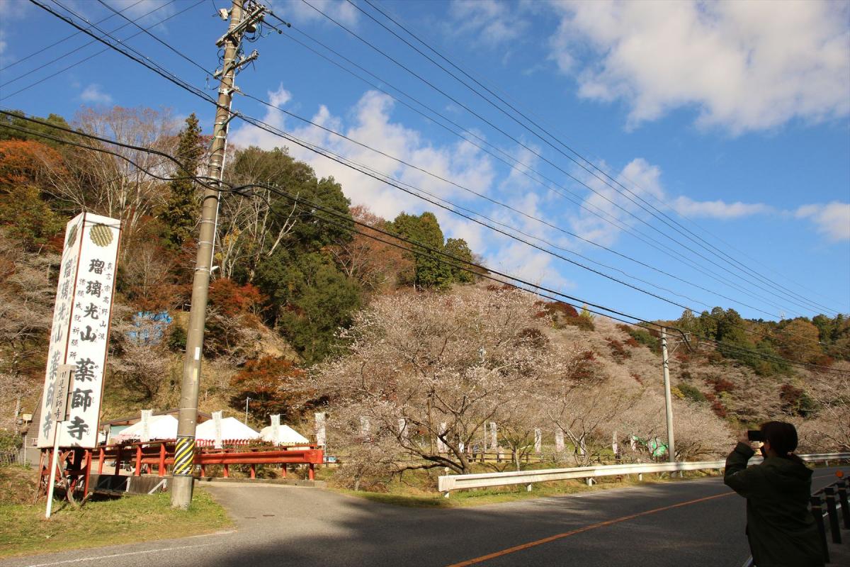 香嵐渓・小原バスツアー