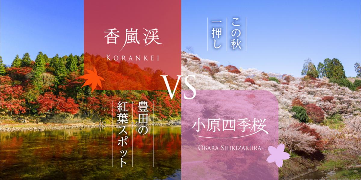 香嵐渓 vs 小原四季桜：この秋一押し豊田の紅葉スポット